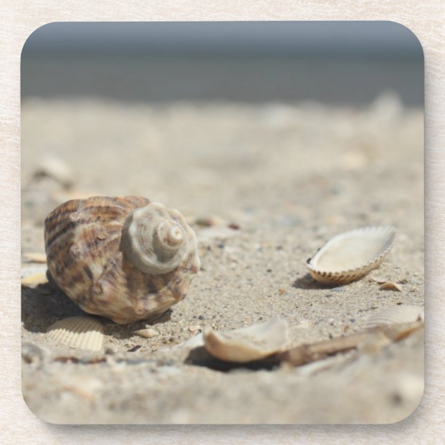 Porta-copo Seashells na areia pelo mar (Frente)