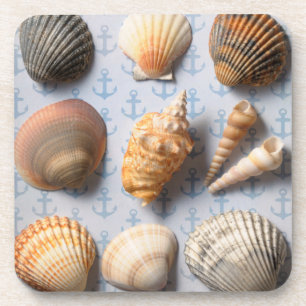 Porta-copo Seashells no contexto da âncora