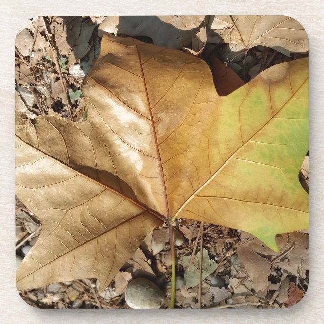 Porta-copo seixos e folhas (Frente)