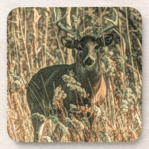 Porta-copo selvagem de camuflagem Camouflage veado-branco