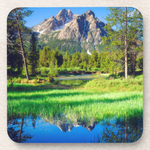 Porta-copo Selvagem de Sawtooth