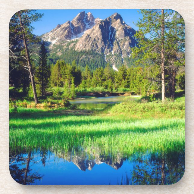 Porta-copo Selvagem de Sawtooth (Frente)