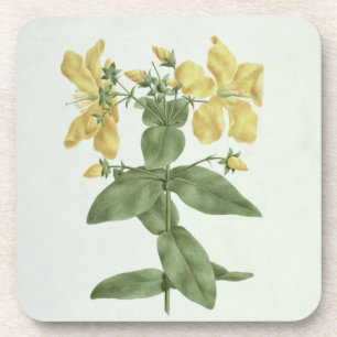 Porta-copo Sensação-Esforço (quartinianum do Hypericum) (w