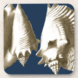 Porta-copo Sepia Conch Seashells