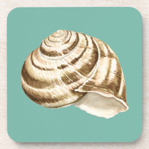 Porta-copo Sepia Striped Shell em Teal