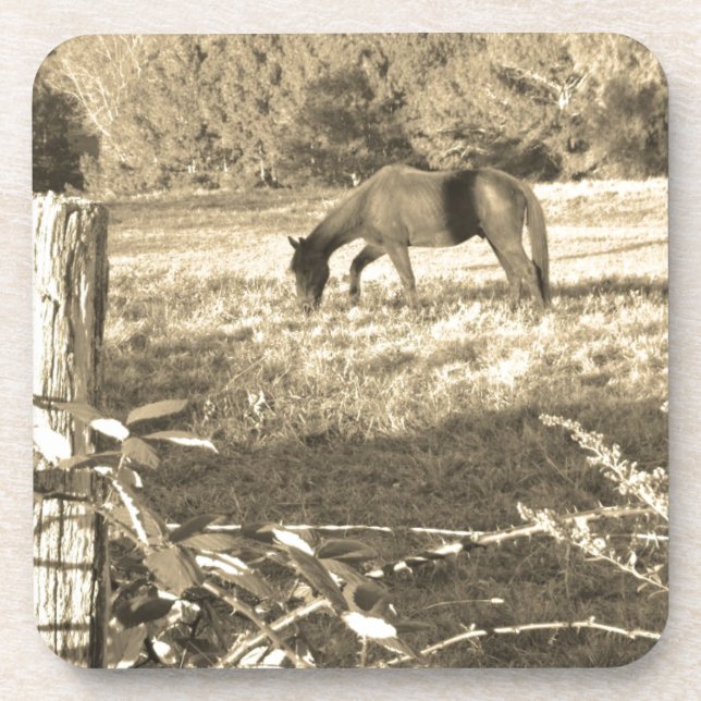 Porta-copo Sepia tone Cavalo castanho e cerca (Frente)