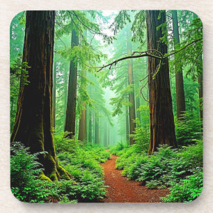 Porta-copo Sequoia Floresta Mistura Design