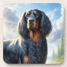 Setter Gordon