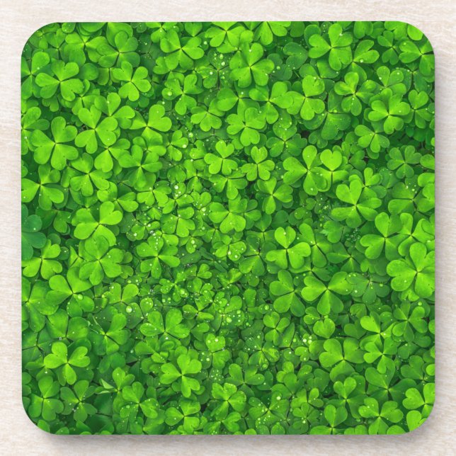 Porta-copo Shamrock Clovers Green Irish Símbolo Irlanda (Frente)