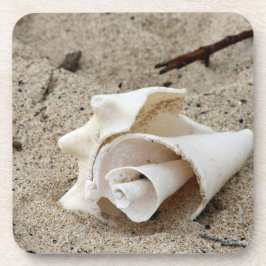 Porta-copo Shell Decorativo Na Areia