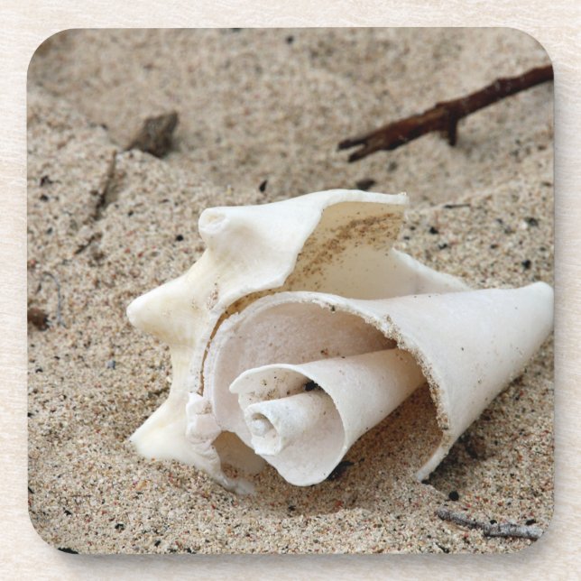 Porta-copo Shell Decorativo Na Areia (Frente)