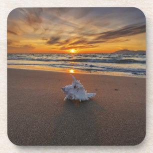 Porta-copo Shell na praia na ilha do por do sol   Kos