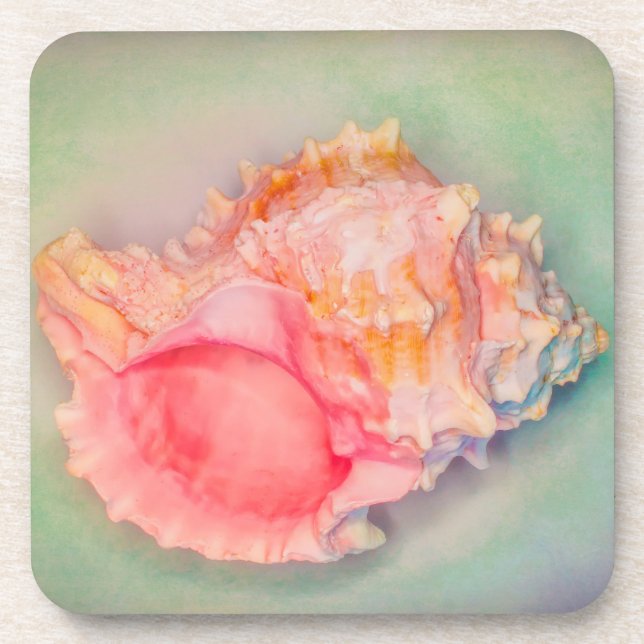 Porta-copo Shell Tropical (Frente)