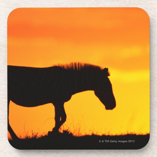 Porta-copo Silhueta da zebra no savanna (Frente)