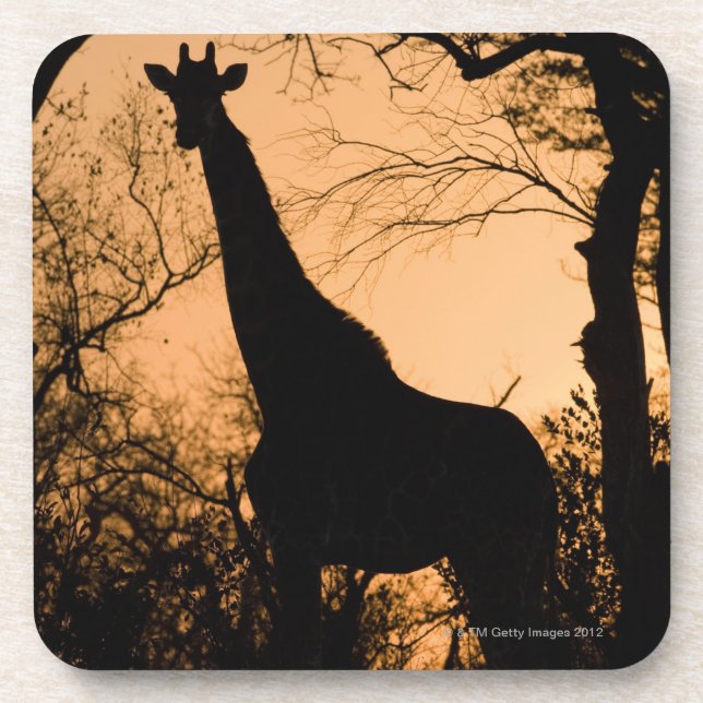 Porta-copo Silhueta do girafa (camelopardalis do Giraffa) (Frente)