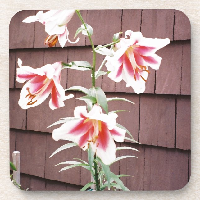 Porta-copo Silk Road Lily (Frente)