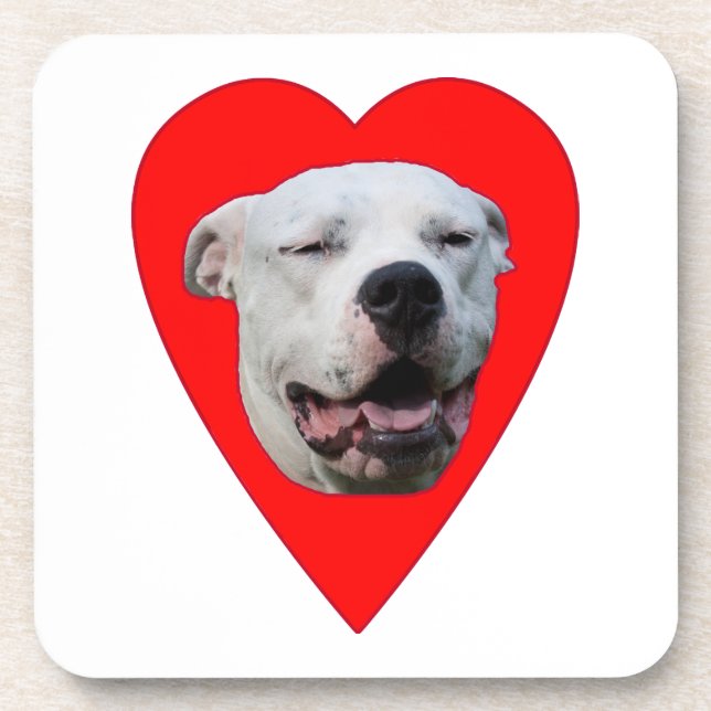 Porta-copo Smiling Dogo Argentino (Frente)