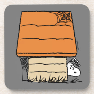 Porta-copo Snoopy Halloween Spider Web Doghouse