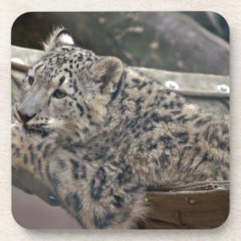 Porta-copo Snow Lepard