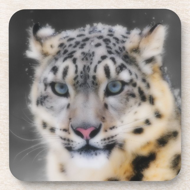 Porta-copo Snow Lepard (Frente)