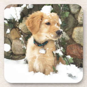Porta-copo Snow Puppy
