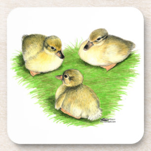 Porta-copo Snowy Mallard Ducklings