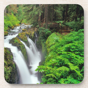 Porta-copo Sol Duc Falls in Olimpiadas National Park