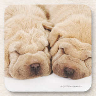 Porta-copo Sono de dois filhotes de cachorro de Shar Pei