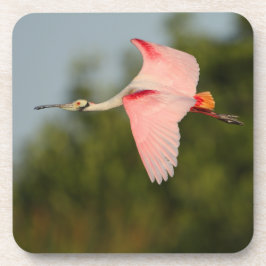 Porta-copo spoonbill