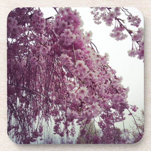 Porta-copo Springtime (Frente)