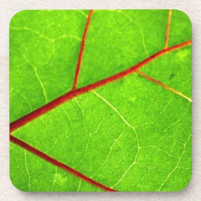 Porta-copo St Thomas 1 (Frente)