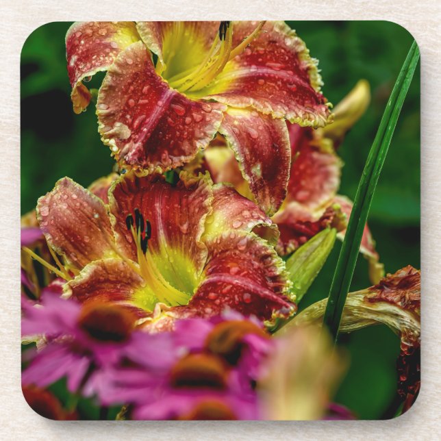 Porta-copo "Startle" Daylily (Frente)