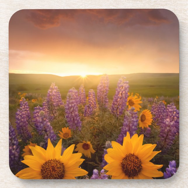 Porta-copo Sunset Daisies (Frente)