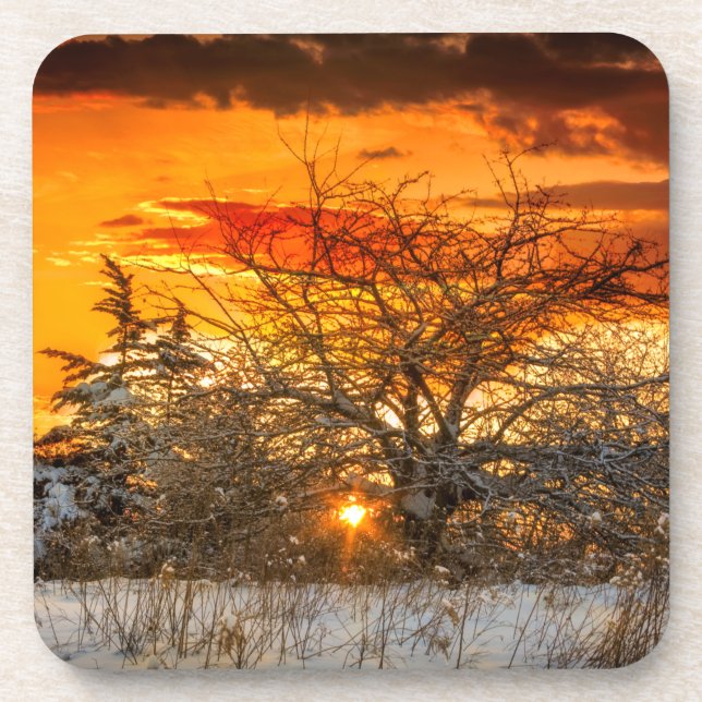 Porta-copo Sunset Vermont Winter Hard Plastic Coaster (Frente)