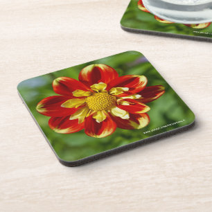 Porta-copo Suporte de cortiça para Dahlia