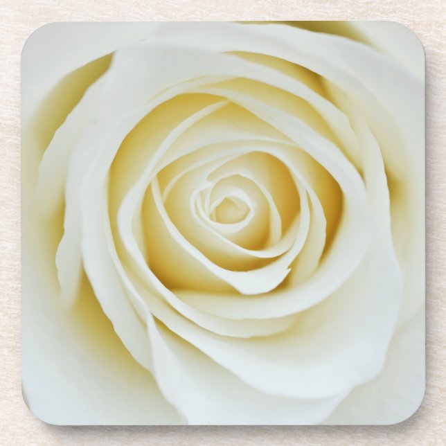 Porta-copo Suporte para flores de rosa branca (Frente)