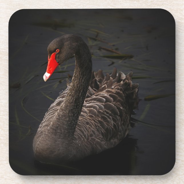 Porta-copo Swan Negro (Frente)