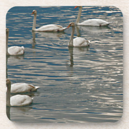 Porta-copo Swan Song