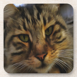 Porta-copo Tabby Cat Artístico Pet Retrato v2
