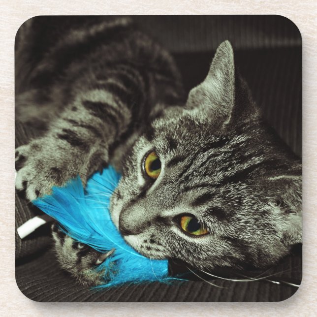 Porta-copo Tabby Cat com pena de Shirley Taylor (Frente)