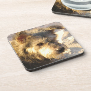 Porta-copo Tailandês Beach Dog