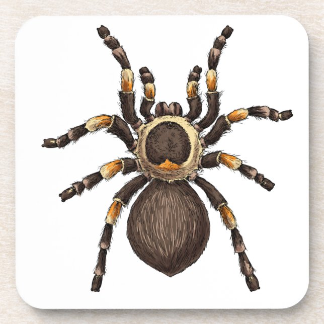 Porta-copo Tarantula (Frente)