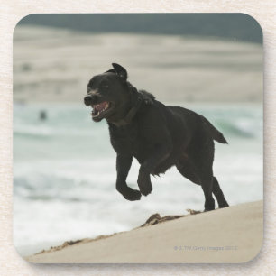 Porta-copo Tarifa, Cadiz, a Andaluzia, espanha