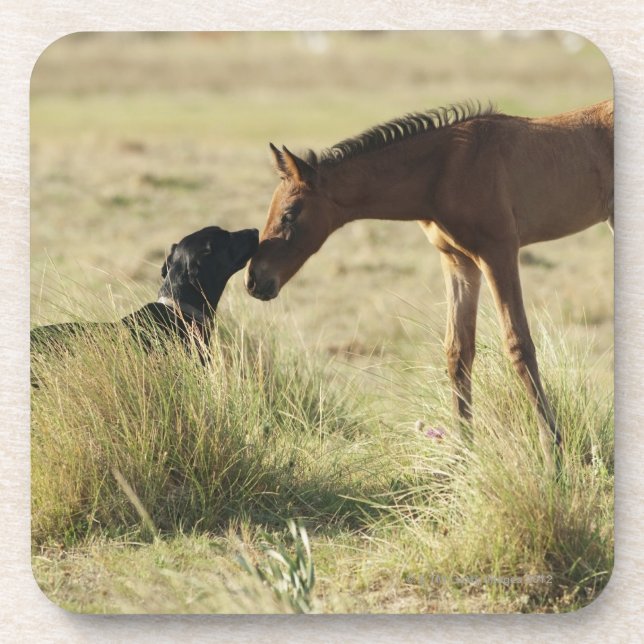Porta-copo Tarifa, Cadiz, a Andaluzia, espanha 2 (Frente)