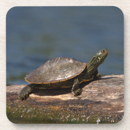 Porta-copo Tartaruga pintada em um tronco