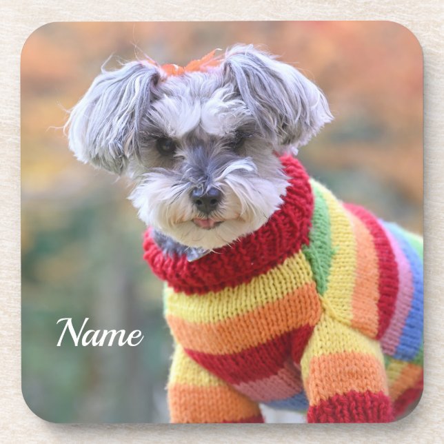 Porta-copo Teacup Schnauzer Puppy Dog em um Sweater (Frente)