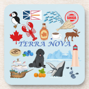 Porta-copo Terra Nova Terra Nova