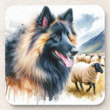 Tervuren Belga