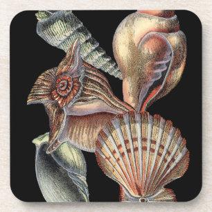 Porta-copo Tesouros do mar