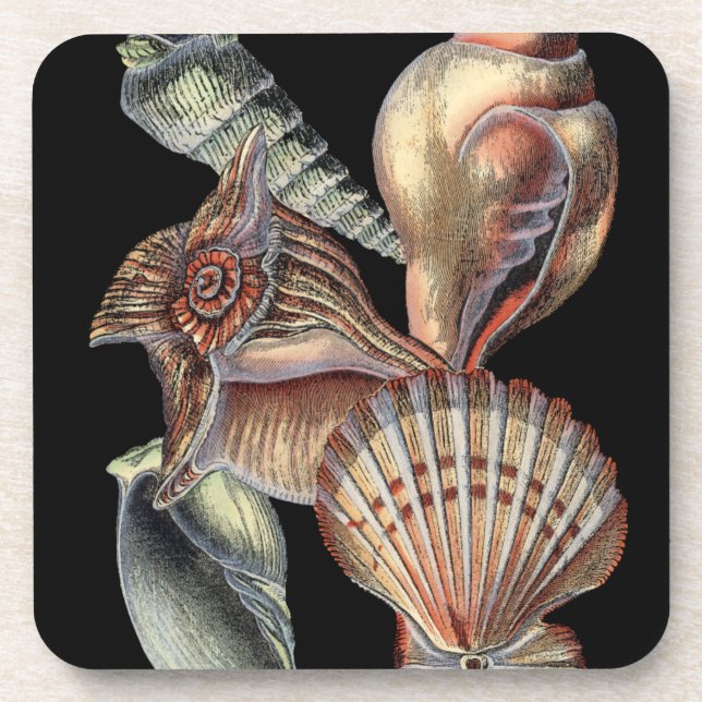 Porta-copo Tesouros do mar (Frente)